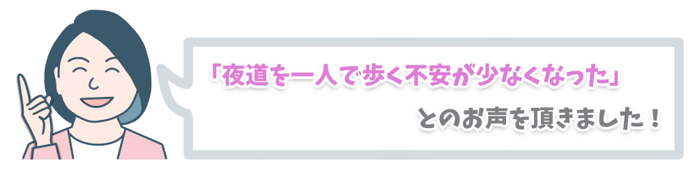 墨田区議会議員選挙公明党候補者とものぶこイラストＬＥＤ