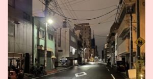 とも宣子の実績墨田区の街路灯防犯灯をLED化