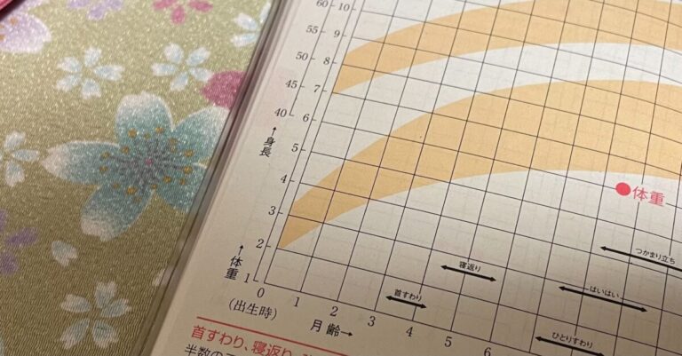 母子手帳に赤ちゃんの低出生体重児の成長記録が記すことができずリトルベビーハンドブックの導入のきっかけとなった